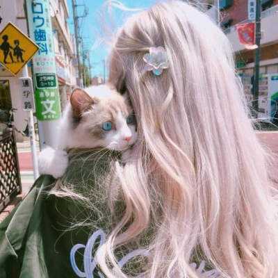 蛋蛋28开奖结果官方