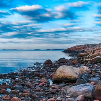 尊龙AG旗舰厅app下载截图