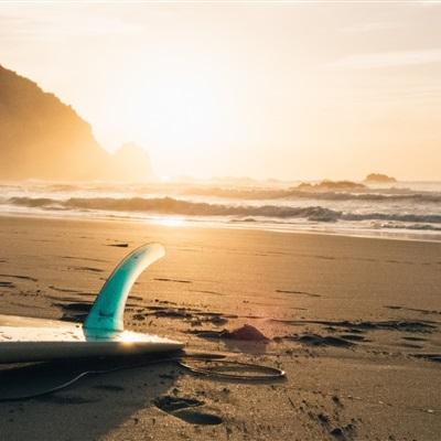 南宫28ng娱乐app下载