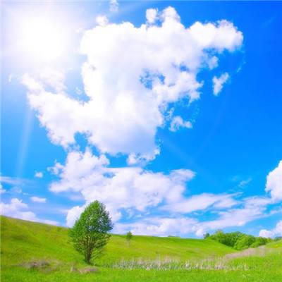 金年会官网手机版下载