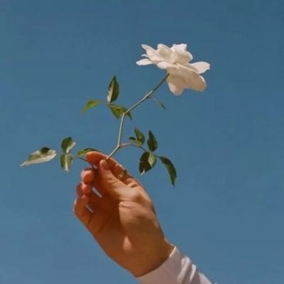 澳门银银河官方网welcome手机app下载