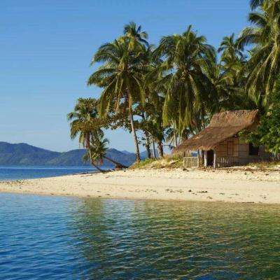 bob体育下载地址