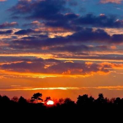 百人牛牛游戏软件